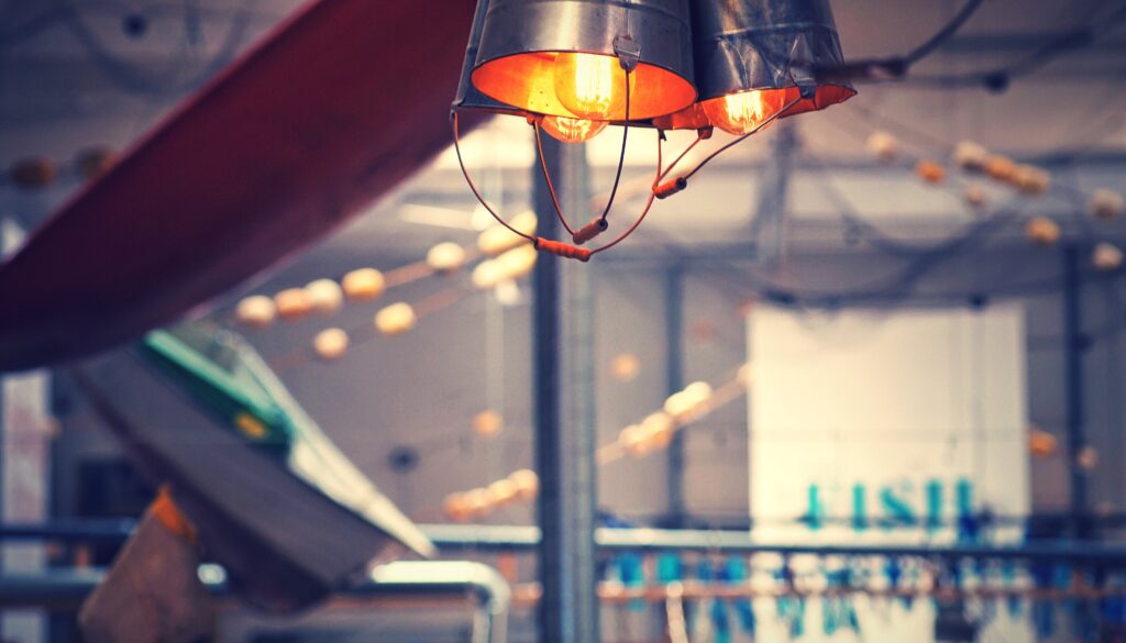 lighting interior